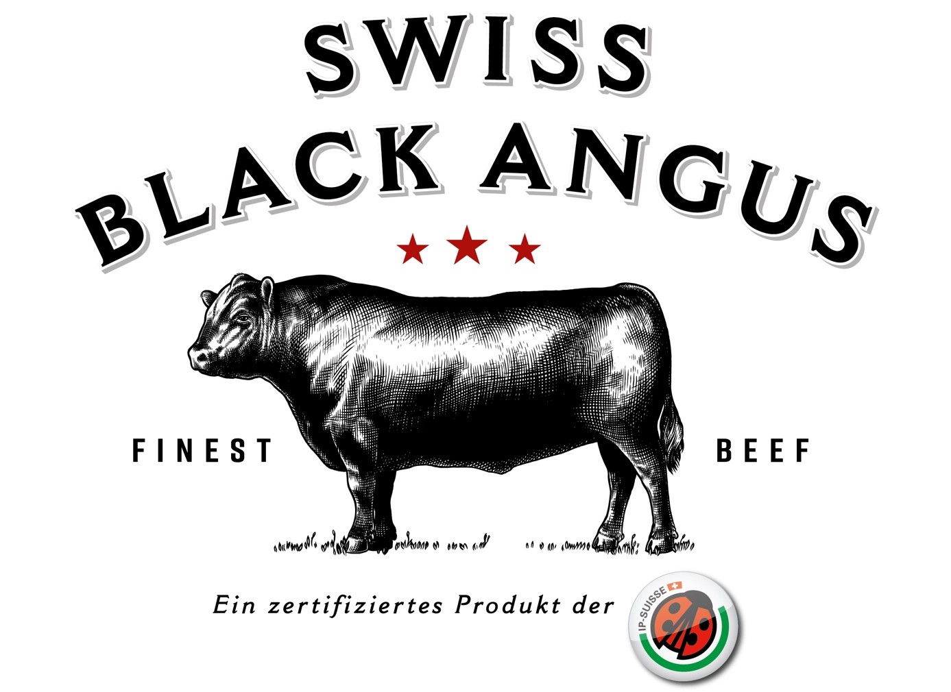 Swiss Black Angus
